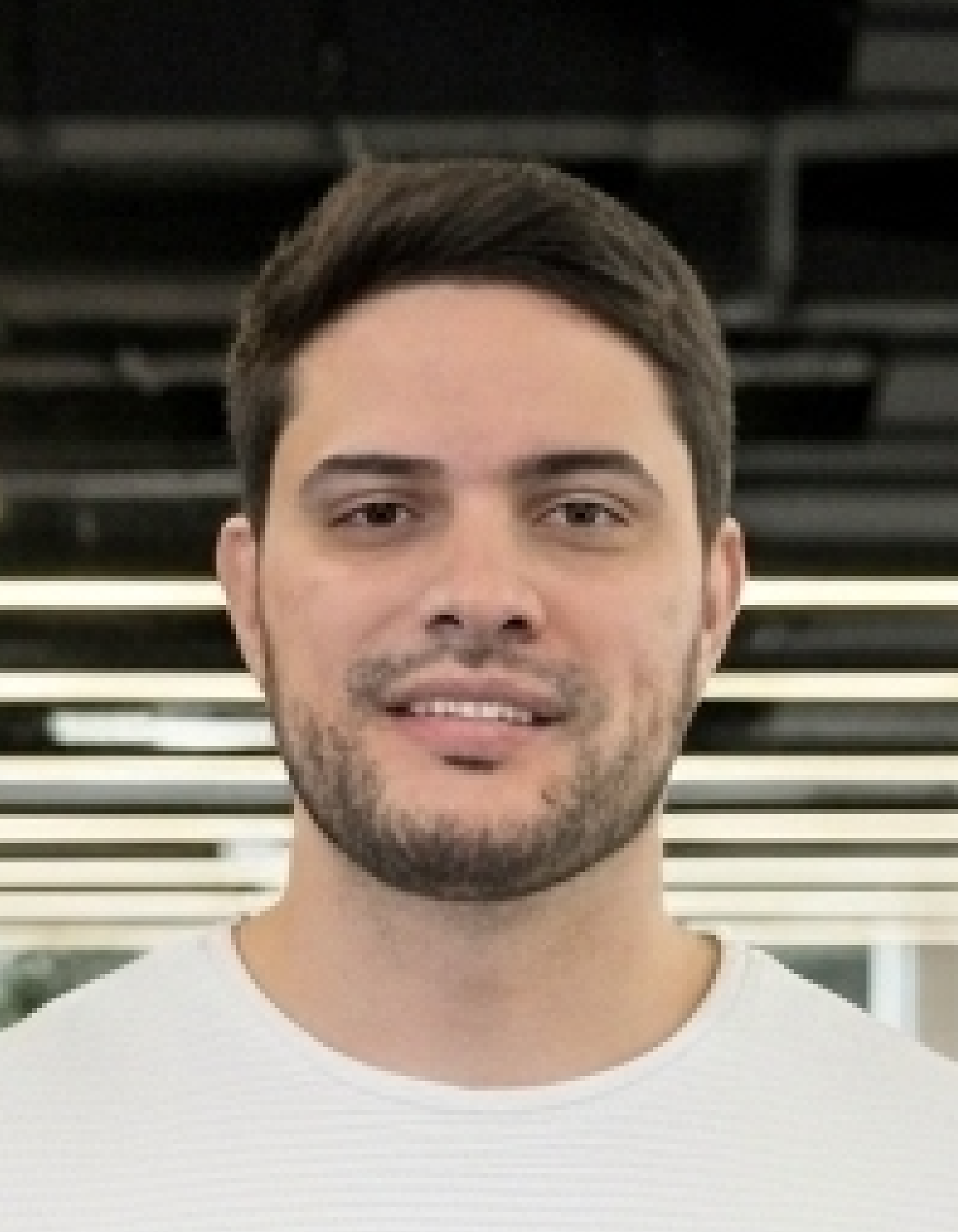 Profile image of Rodrigo Vanini